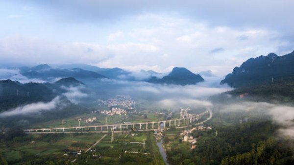 股票配资平台网 文化中国行·大暑 | 岭南稻浪收暑气，工夫茶香纳清欢