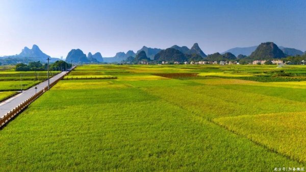 股票配资平台网 【决胜“十四五” 迈上新台阶】从传统农耕到文旅热土    马兰村把稻田打造成“金色招牌”