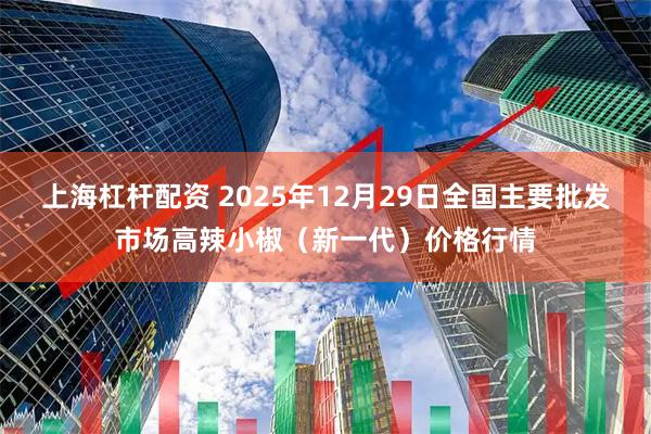 上海杠杆配资 2025年12月29日全国主要批发市场高辣小椒（新一代）价格行情